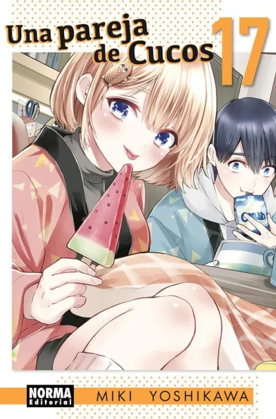 Cover of Issue #17