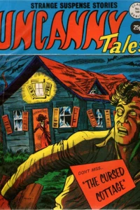 The Cursed Cottage