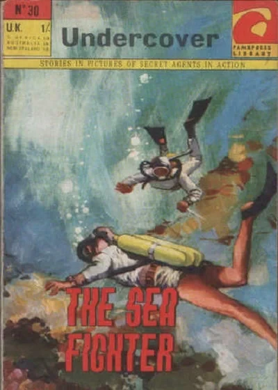 Cover of Issue #30