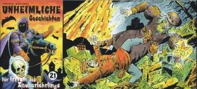 Cover of Der Irrfum des Zauberlehrings