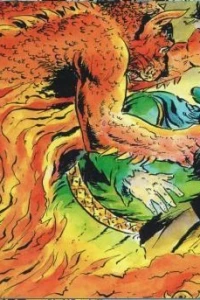 Die Rache des Hexers