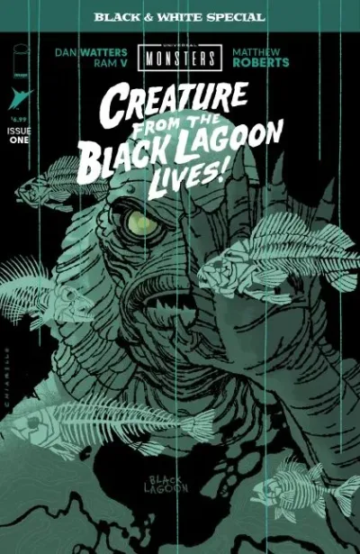 Cover of Cover B