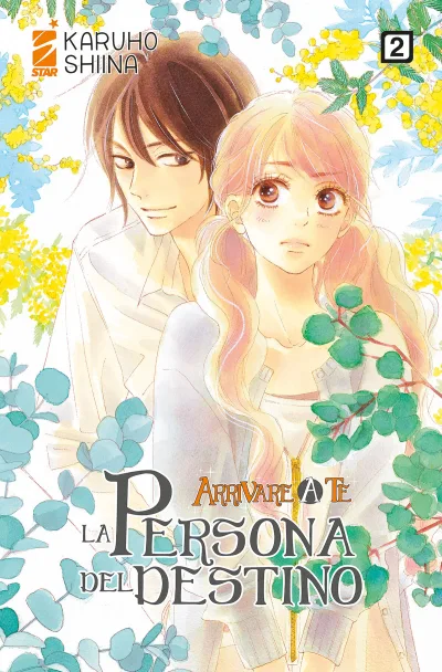 Cover of Arrivare a te: La persona del destino 2