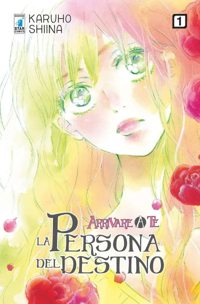 Cover of Arrivare a te: La persona del destino 1