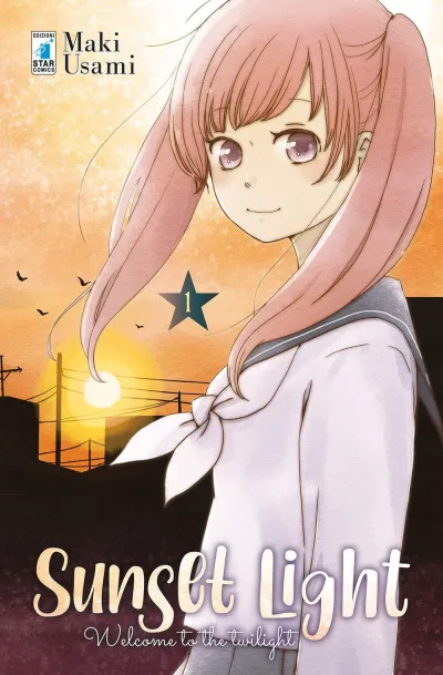 Cover of Sunset light 1