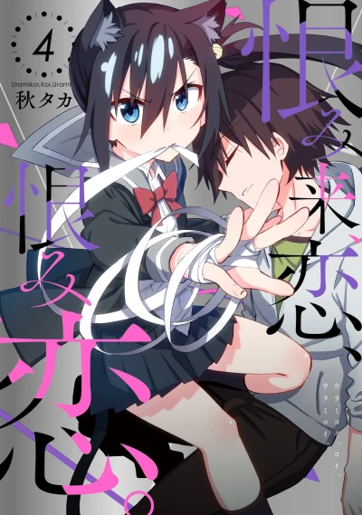 Cover of Vol. 4