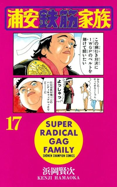 Cover of Vol. 17