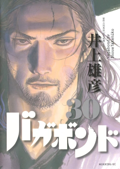 Cover of Vol. 30
