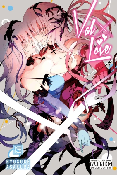 Cover of Vol. 13