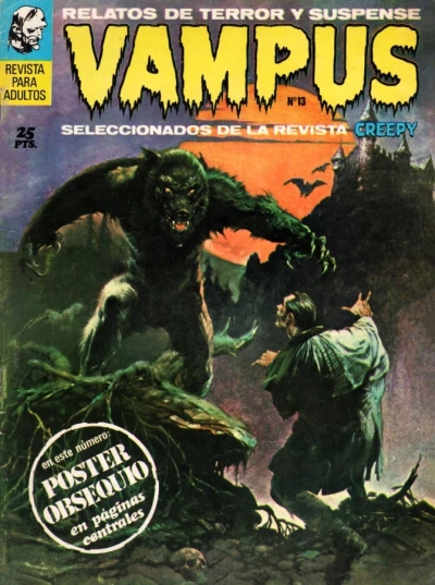Cover of Issue #13