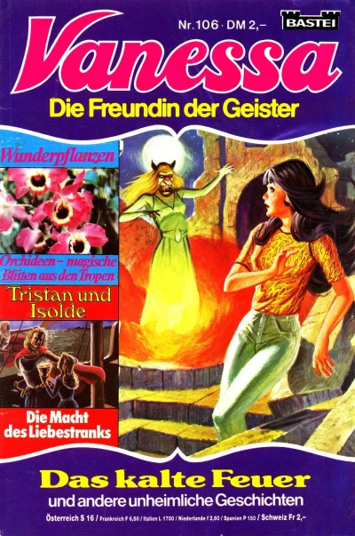 Cover of Das kalte Feuer