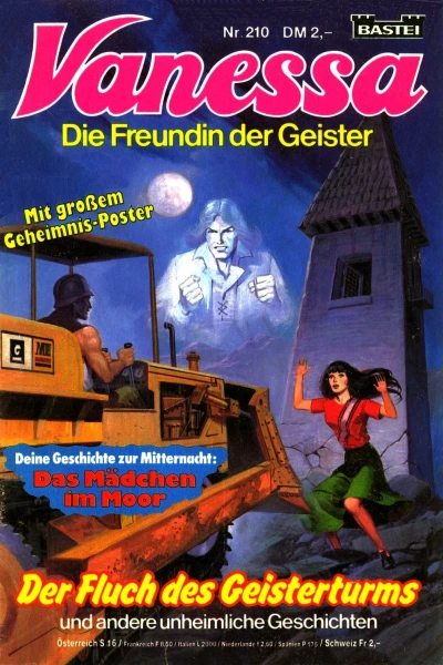 Cover of Der Fluch des Geisterturms