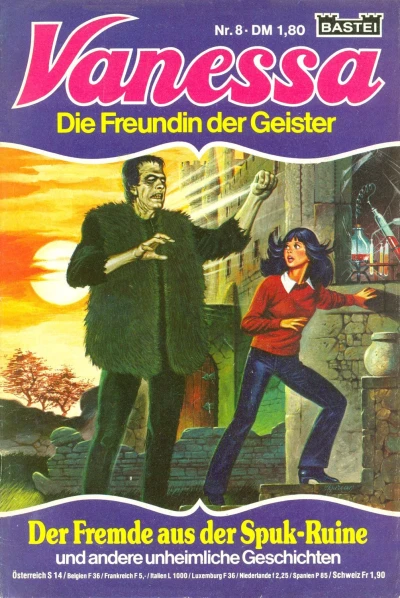 Cover of Der Fremde aus der Spuk-Ruine