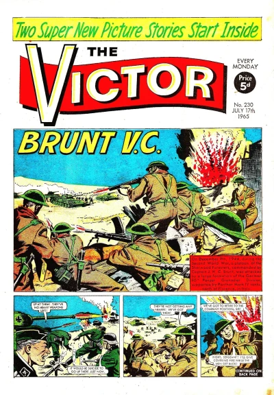 Cover of Brunt V.C.