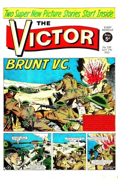 Brunt V.C.