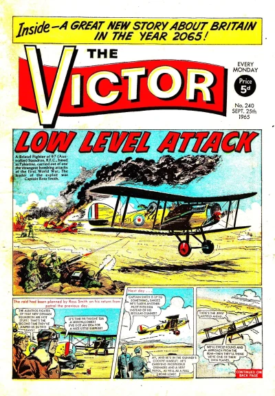 Cover of Low Level Attack