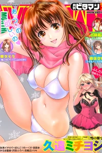 Issue #201303