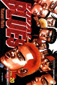 Vol. 20