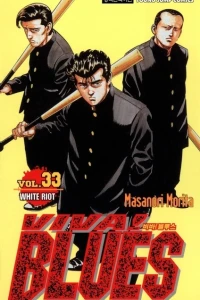 Vol. 33