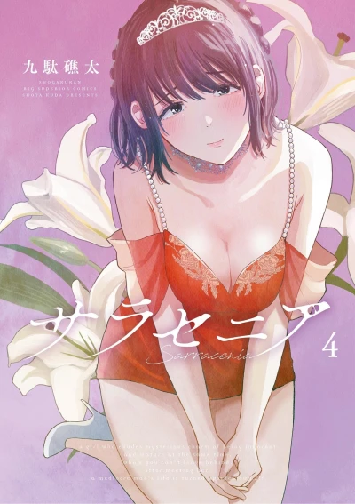 Cover of Vol. 4