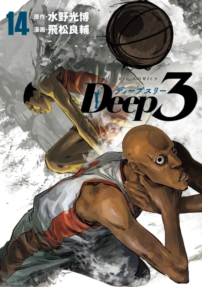 Cover of Volume 14