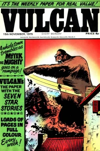 Issue 8
