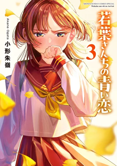 Cover of Vol. 3