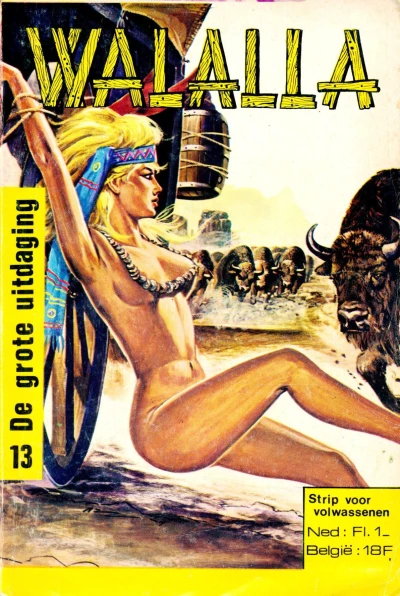 Cover of Issue #13