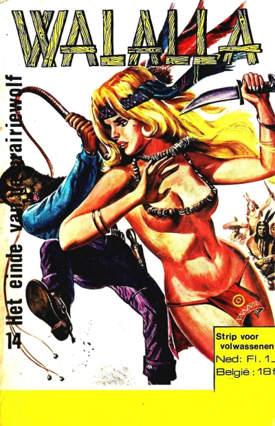 Cover of Issue #14