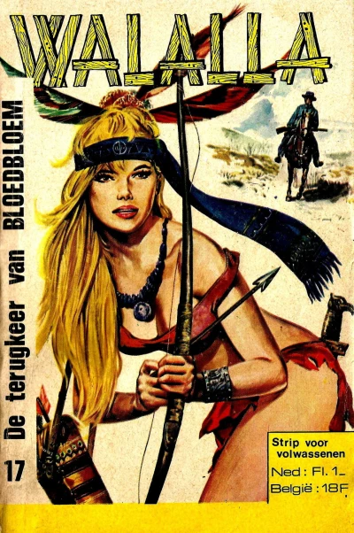Cover of Issue #17