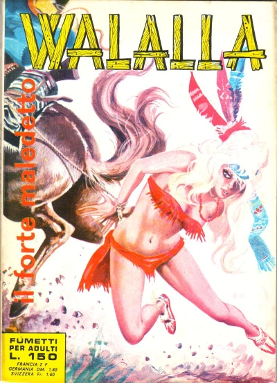 Cover of Il Forte Maledetto