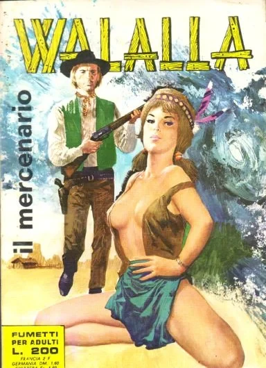 Cover of Il mercenario