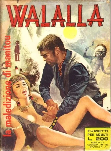 Cover of La maledizione di manitou