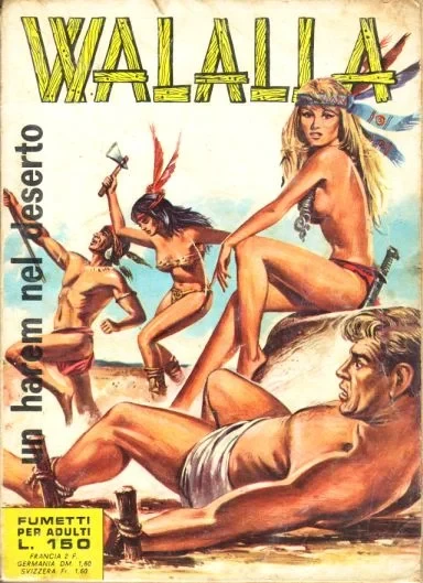 Cover of Un harem nel deserto