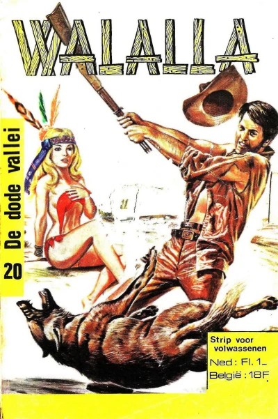 Cover of Issue #20