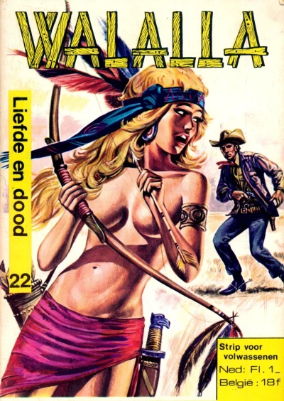 Cover of Issue #22
