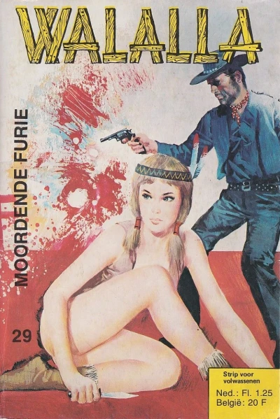Cover of Issue #29