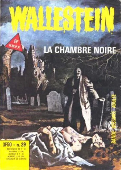 Cover of Issue #29