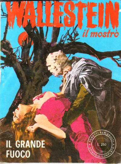 Cover of Il Grande Fuoco (17 / II)