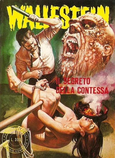 Cover of Il Segreto della Contessa
