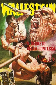 Il Segreto della Contessa