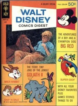 Cover of Issue #23