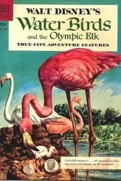Walt Disney's Water Birds and the Olympic Elk