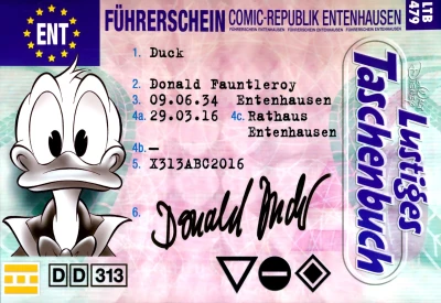 Cover of Führerschein