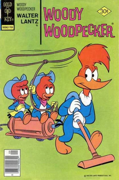 Cover of Wonder Woody