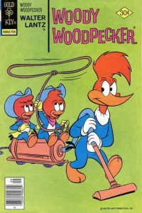 Wonder Woody