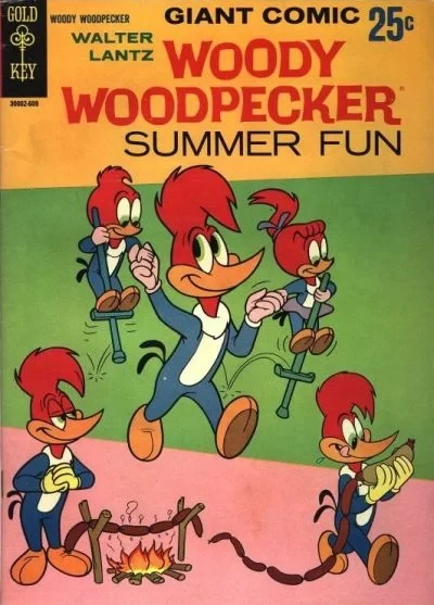 Cover of Woody Woodpecker Summer Fun
