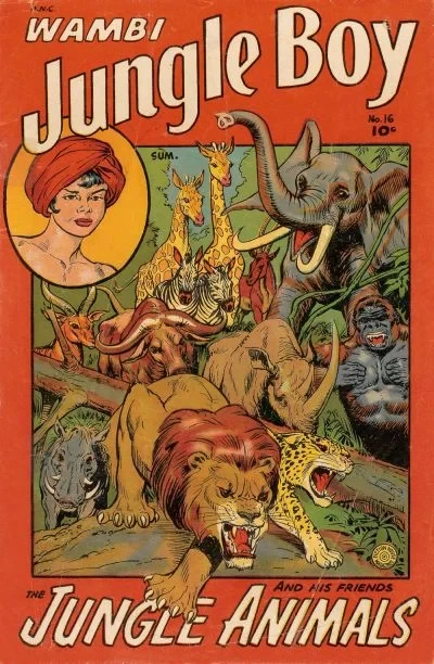 Cover of Issue #16