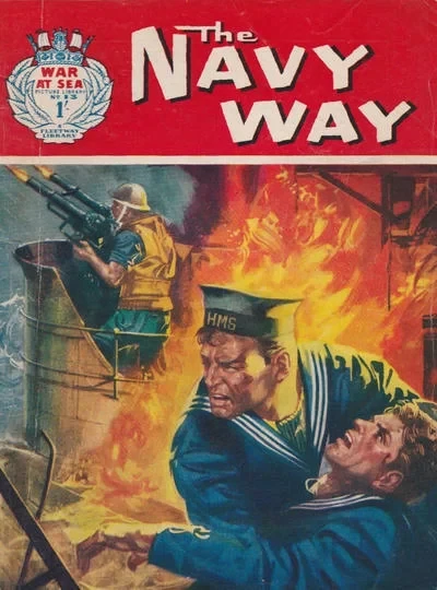 Cover of Issue #13