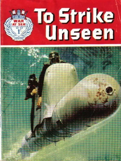 Cover of Issue #17